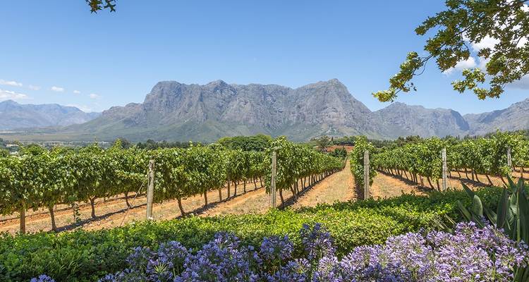 Kruger, costa y Cabo - Intrepid Travel 4