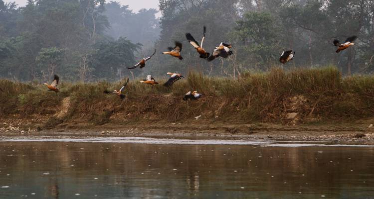 Chitwan National Park Extension - Intrepid Travel 9