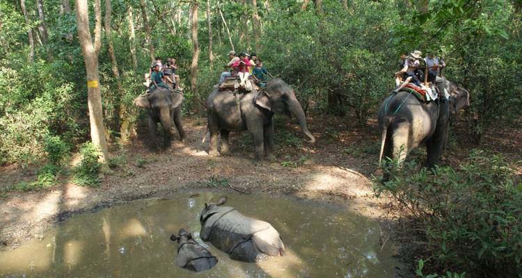 Chitwan National Park Extension - Intrepid Travel 10