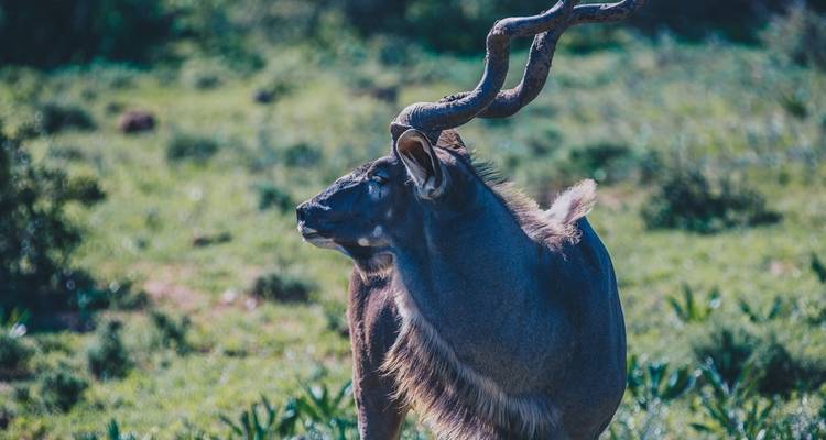 Aventure sur la Route des jardins - Intrepid Travel 3
