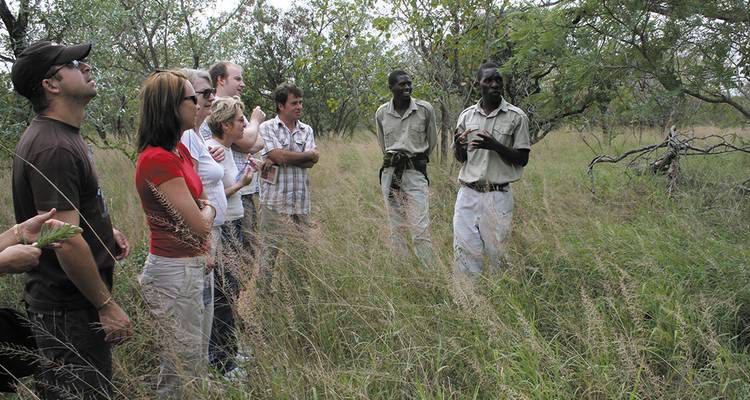 Campamento Kruger salvaje - Intrepid Travel 4