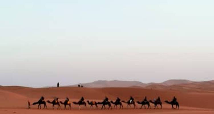 Best of Morocco - Timeless Tours  1