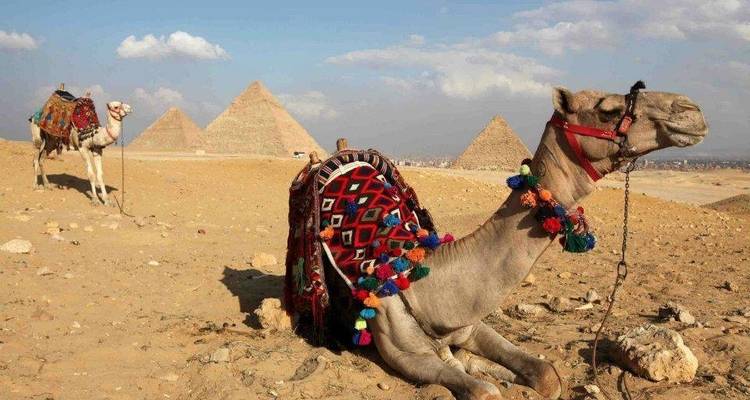 Aventure sur le Nil - Croisière en felouque - Timeless Tours  2