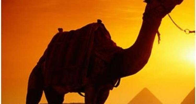 Wonderen van de farao's - Timeless Tours  4