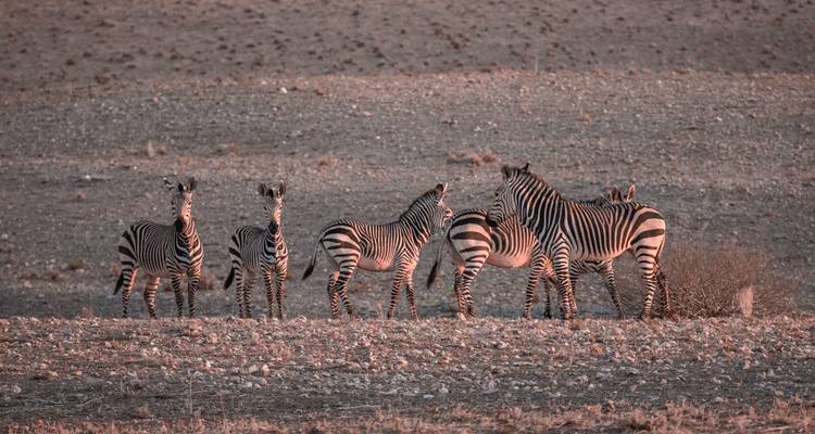 La Namibie et le Botswana à découvert - Encounters Travel 9