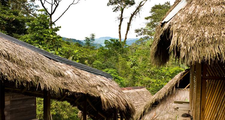 Des cabanes de jungle au toit de chaume surplombent une forêt tropicale humide densément verdoyante et des collines lointaines.