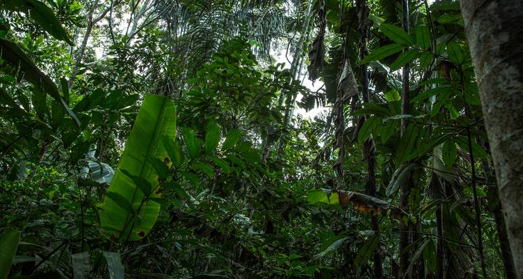 Vivre sur place Équateur - Jungle amazonienne - G Adventures 7