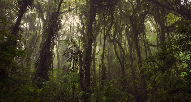 Costa Rica Active Adventure - G Adventures 7