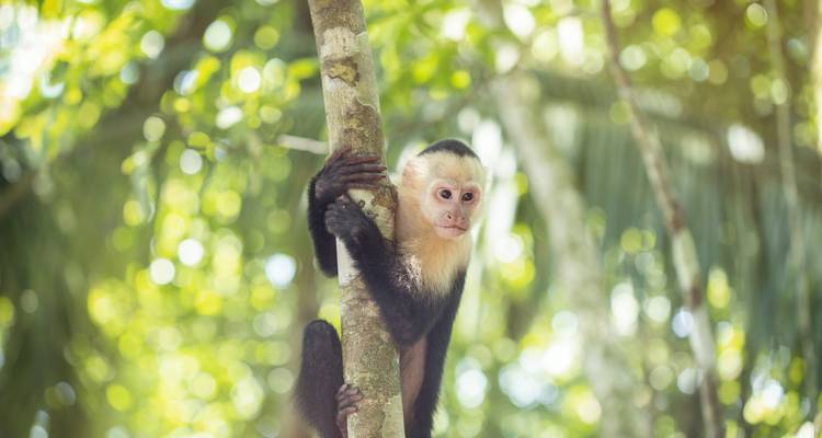 Costa Rica Active Adventure - G Adventures 4