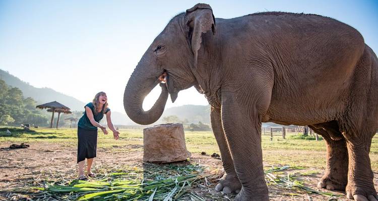 Chiang Mai et expérience avec les éléphants - Intrepid Travel 10