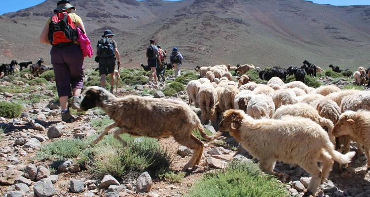 Navidad en Marruecos - 8 días - On The Go Tours 8