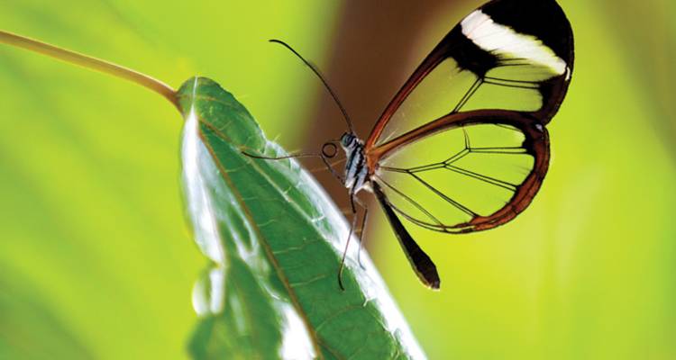 Équateur : Court séjour dans la jungle amazonienne (3 destinations) - Intrepid Travel 3