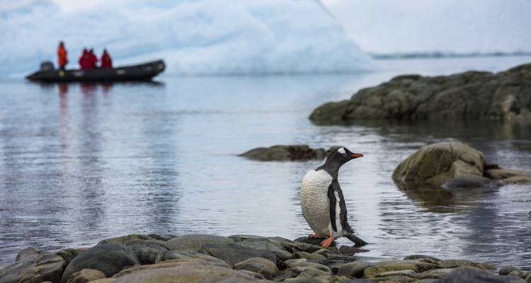 Falklands, South Georgia & Antarctica - G Adventures 4