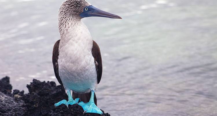 Galapagos Discovery - Intrepid Travel 3