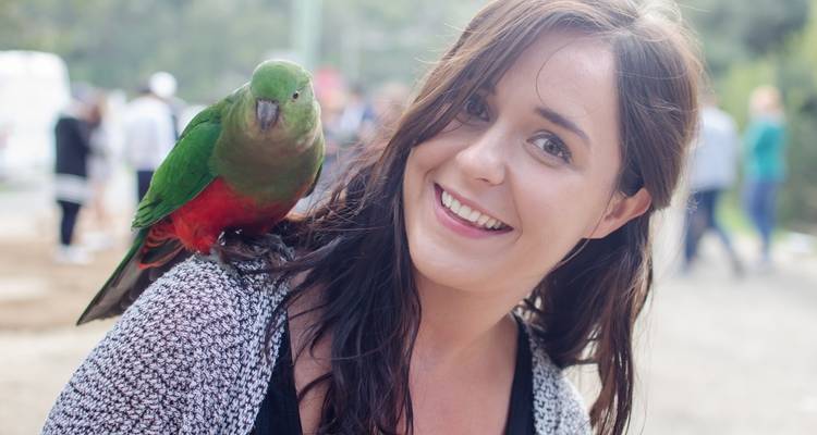 Great Ocean Road and Rainforest Walk 1 DAY - Wildlife Tours Australia 4