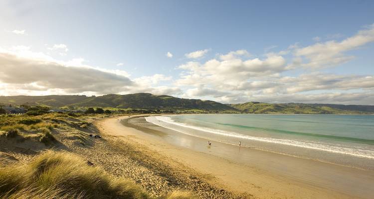 Great Ocean Road and Rainforest Walk 1 DAY - Wildlife Tours Australia 10