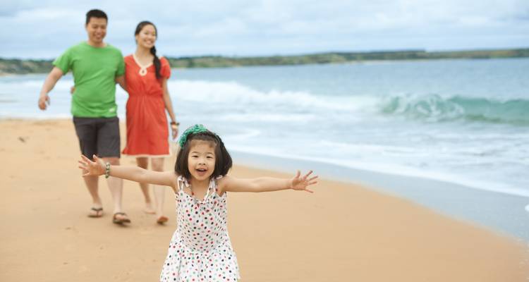 Penguin Parade and Wildlife Tour 1 DAY - Wildlife Tours Australia 4