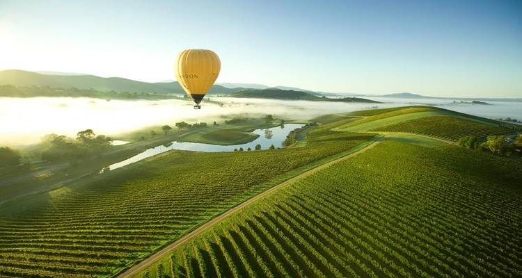 Yarra Valley Winery Tour 1 DAY - Wildlife Tours Australia 10
