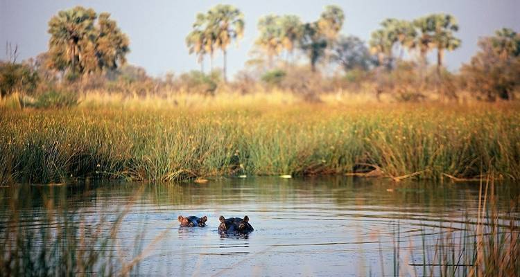 Cap aux chutes Victoria et au Kruger - camping - 25 jours - Acacia Adventure Holidays 1