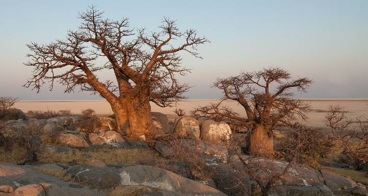 14 jours de Kruger au Delta, Chobe et Victoria Falls - avec hébergement - Acacia Adventure Holidays 9