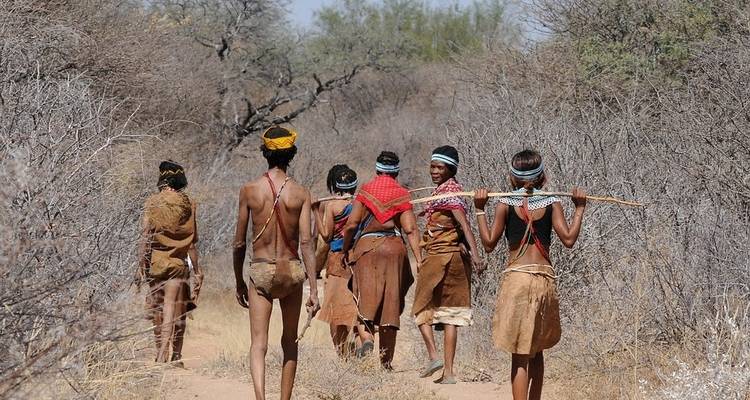 14 jours de Kruger au Delta, Chobe et Victoria Falls - avec hébergement - Acacia Adventure Holidays 10