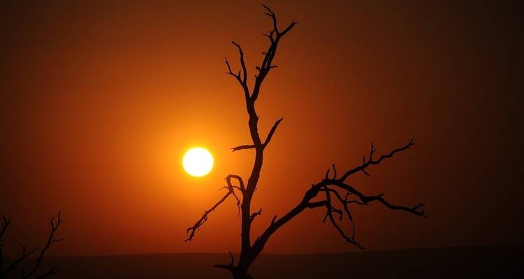 14 jours de Kruger au Delta, Chobe et Victoria Falls - avec hébergement - Acacia Adventure Holidays 3