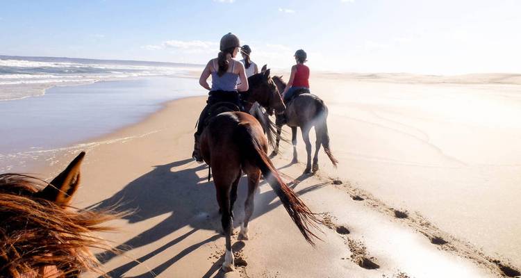 5 jours - Le meilleur de l'Afrique du Sud : Route des jardins et parc national d'Addo - Hotspots2c 4