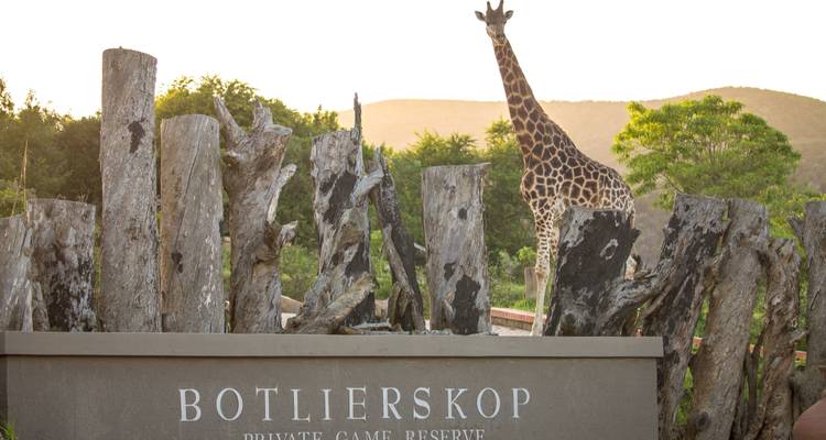 3 day Garden Route + Safari Highlights Tour from Cape Town - Hotspots2c 10