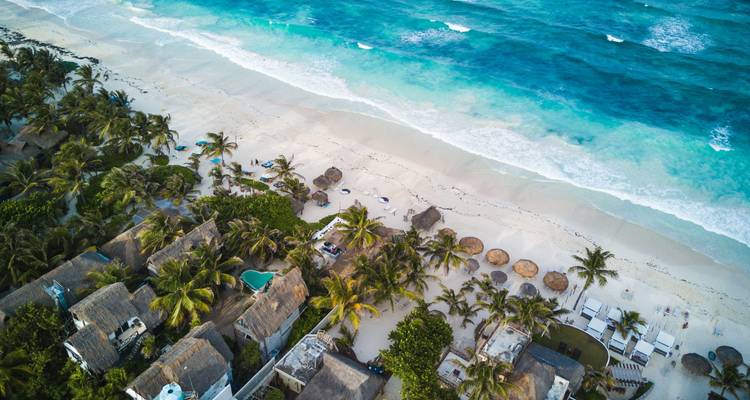 Vista costera de playa con agua turquesa y palmeras.