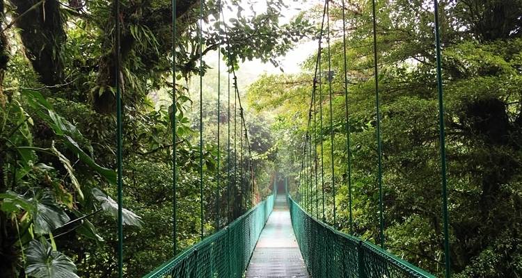 Mountain & Volcano Costa Rica Tour - Marvelus Travel 7