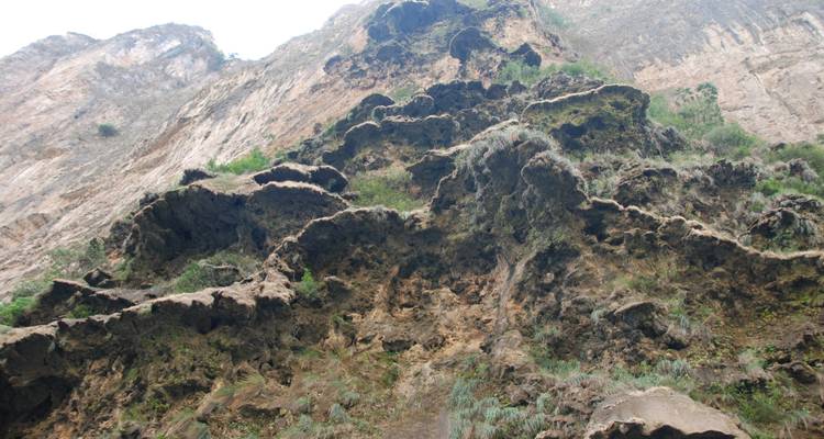 Close-up of a rugged rock face.