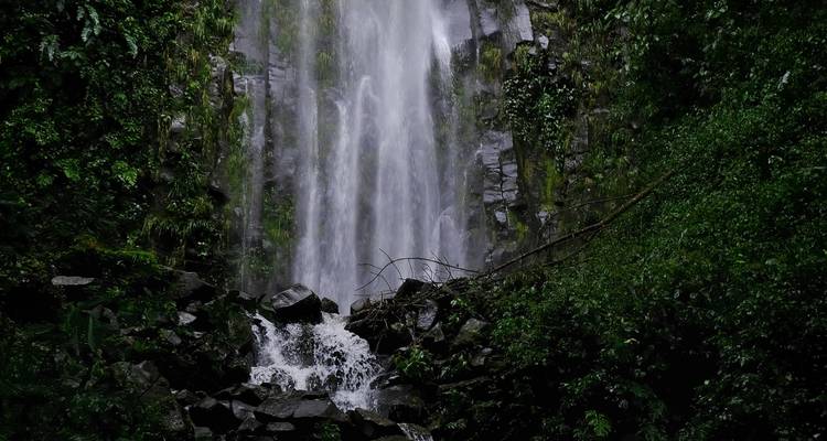 Waterfall cascading down rocks surrounded by lush greenery.