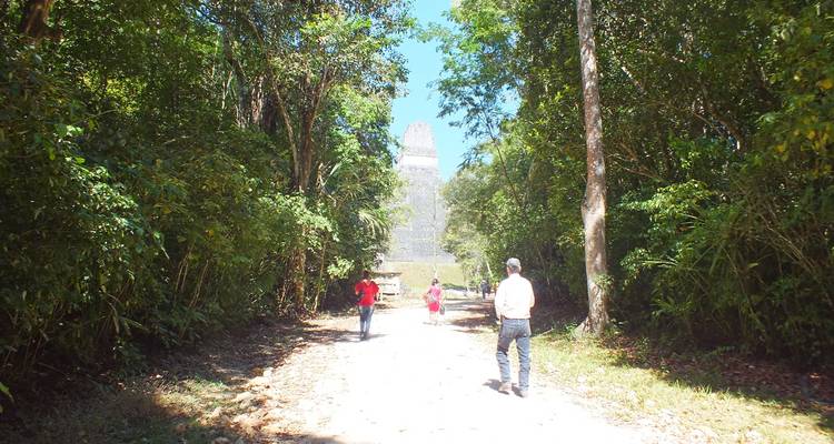 Depuis Flores : Excursion guidée d'une journée aux ruines de Tikal - Marvelus Travel 6