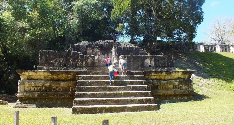 Depuis Flores : Excursion guidée d'une journée aux ruines de Tikal - Marvelus Travel 2
