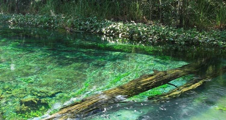 Lago de montebello y Chiflón - Marvelus Travel 4