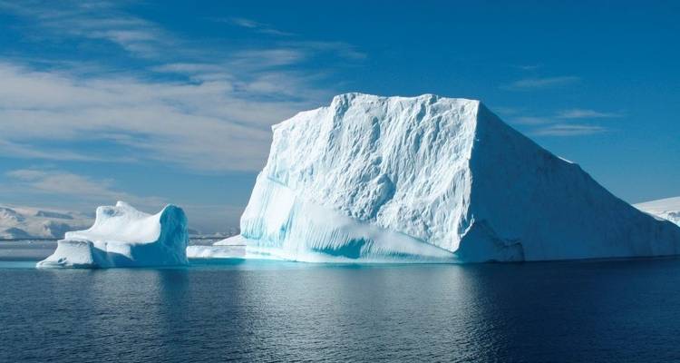 King Penguins of the Falklands and South Georgia - Expedition - Explore! 8
