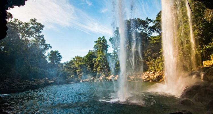 Vue sur la cascade avec un environnement de jungle luxuriante.