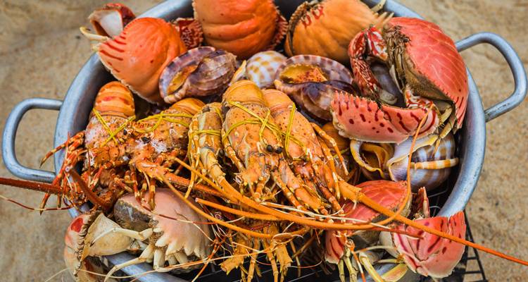 Kleurrijke pot vol vers gevangen kreeften, krabben en schelpdieren op zandige grond.