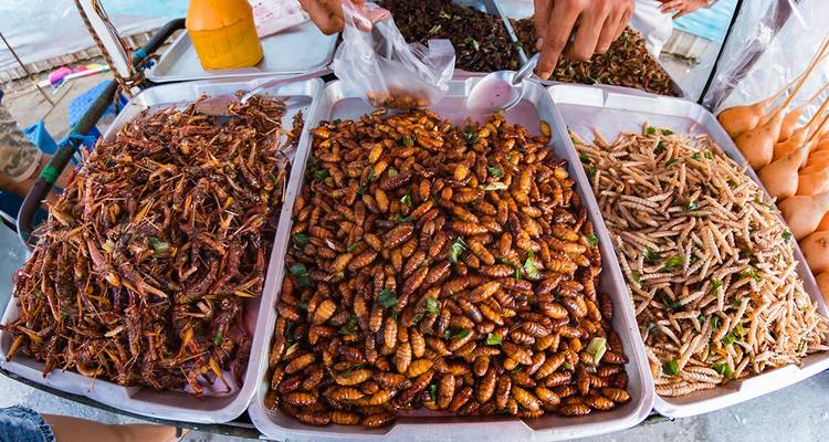 Thailand Real Food Adventure - Intrepid Travel 3