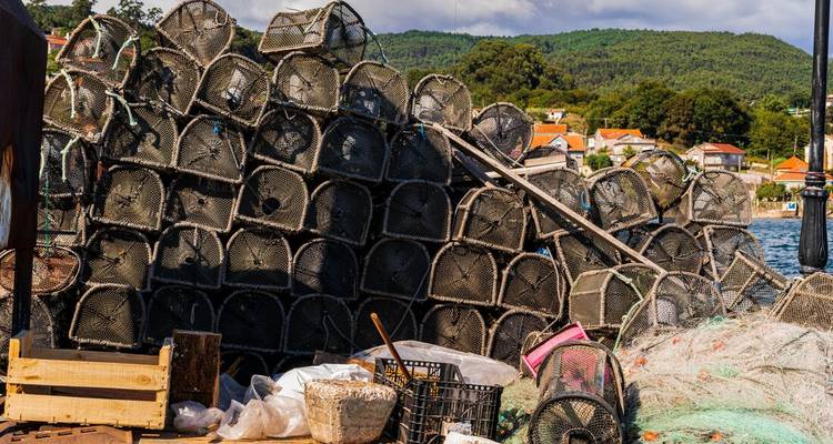 Montones de trampas de pesca en un puerto con un pueblo al fondo.