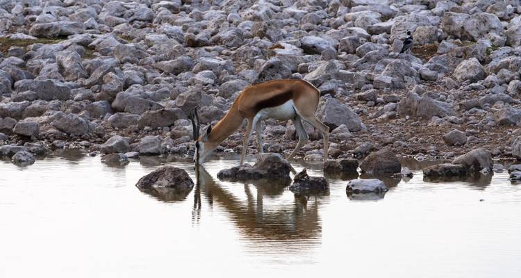 Aventure au Cap et en Namibie - G Adventures 3