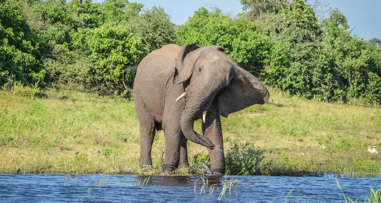 Aventure au Botswana et aux chutes Victoria - G Adventures 10