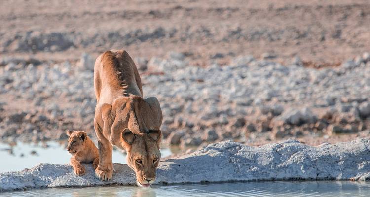 Aventure au Botswana et aux chutes Victoria - G Adventures 2