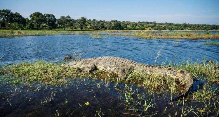Aventure au Botswana et aux chutes Victoria - G Adventures 9