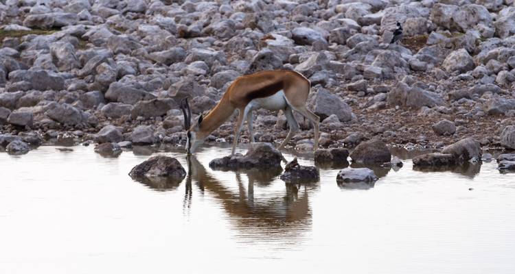 Southern Africa Northbound: Dunes, Deltas & Falls - G Adventures 7