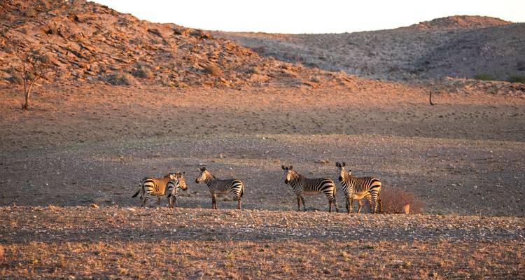 Southern Africa Northbound: Dunes, Deltas & Falls - G Adventures 8