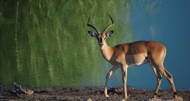Du Cap au Serengeti : Déserts et nature sauvage - G Adventures 4