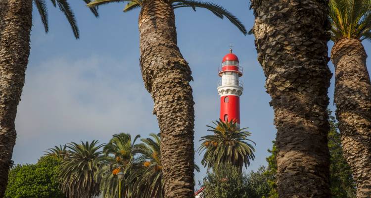 Un phare rouge frappant encadré par de grands troncs de palmiers sur un ciel bleu.