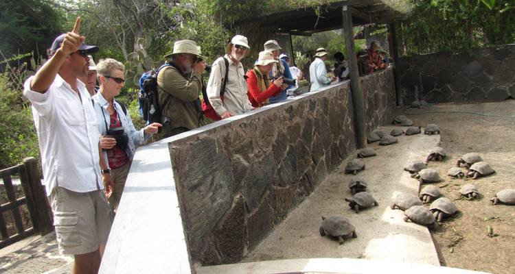 Circuit incroyable terrestre aux Galápagos de 5 jours, avec visite de 3 îles - 5 jours - Nature Galapagos & Ecuador 1