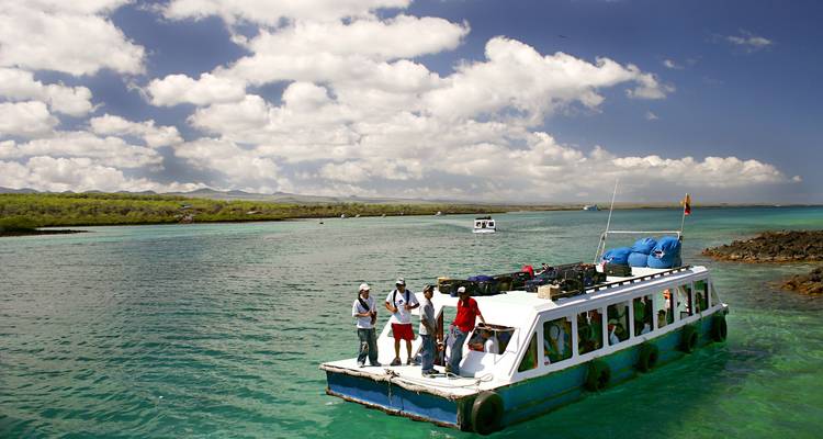 Circuit incroyable terrestre aux Galápagos de 5 jours, avec visite de 3 îles - 5 jours - Nature Galapagos & Ecuador 7